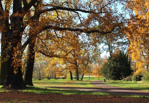 Wege im Herrenkrugpark